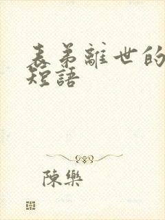 表弟离世的心情短语