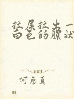 拉屎拉出一小团白色的脓状物