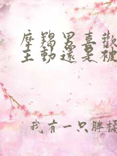 摩羯男喜欢女生主动还是被动