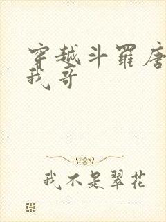 穿越斗罗唐三是我哥