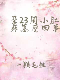 孕23周小肚子疼怎么回事