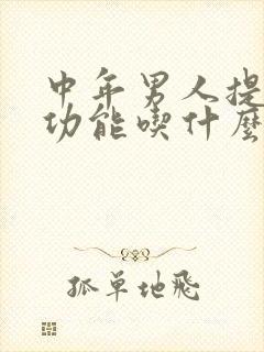 中年男人提高性功能吃什么药