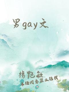 男gay文