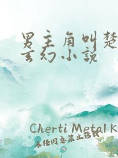 男主角叫楚枫的玄幻小说