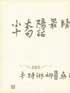 小太阳最精辟的十句话