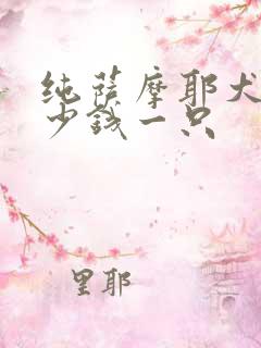 纯萨摩耶犬狗多少钱一只