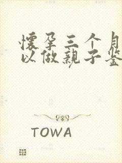 怀孕三个月内可以做亲子鉴定吗