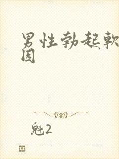 男性勃起软的原因