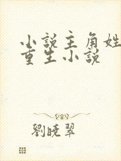 小说主角姓洛的重生小说