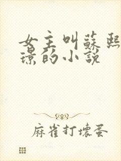 女主叫苏熙熙逢璟的小说