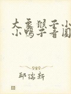 大象猴子小熊救小鸭子看图写话