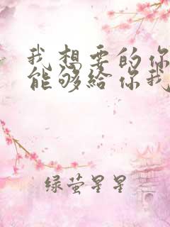 我想要的你却不能够给你我全部歌词