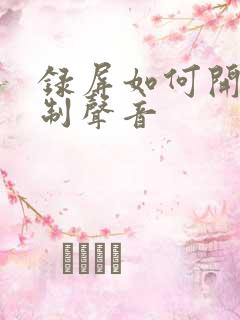 录屏如何开启录制声音