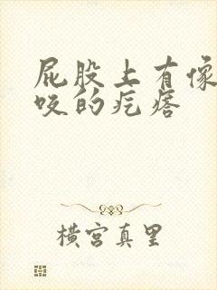 屁股上有像蚊子咬的疙瘩