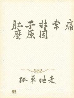 肚子非常痛是什么原因