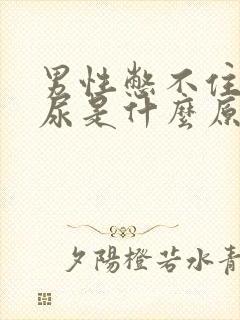 男性憋不住尿漏尿是什么原因