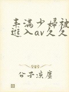 丰满少妇被猛烈进入av久久