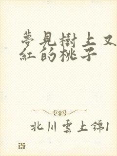 梦见树上又大又红的桃子