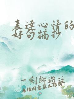 表达心情的好词好句摘抄