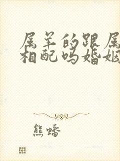 属羊的跟属蛇的相配吗婚姻