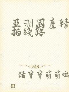 亚洲国产精品自拍线路