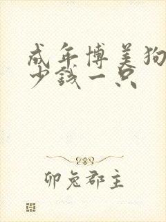 成年博美狗狗多少钱一只