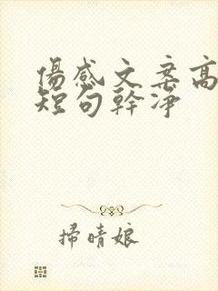 伤感文案高级感短句干净