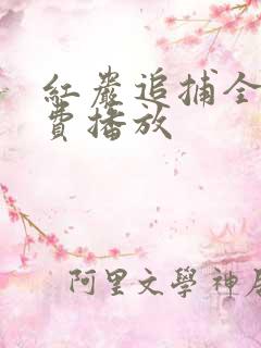 红岩追捕全集免费播放