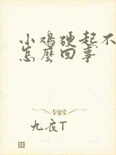 小鸡硬起不来是怎么回事