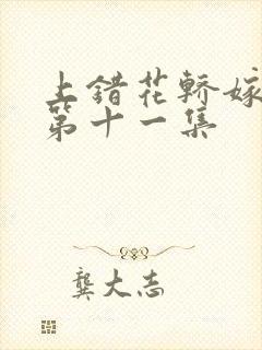 上错花轿嫁王爷第十一集