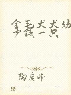 金毛犬犬幼犬多少钱一只