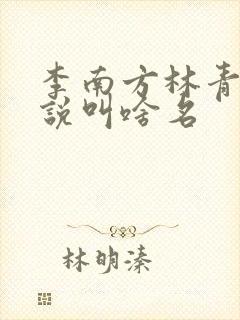李南方林青青小说叫啥名