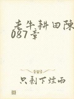老牛耕田陈雪1087章
