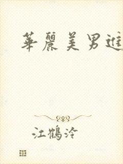 华丽美男进化论