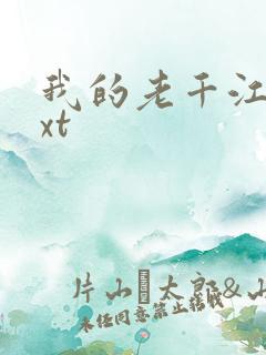 我的老千江湖txt