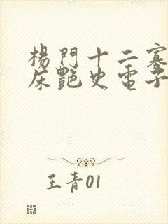 杨门十二寡妇肉床艳史电子书