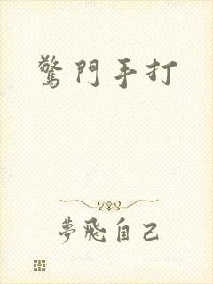 惊门手打