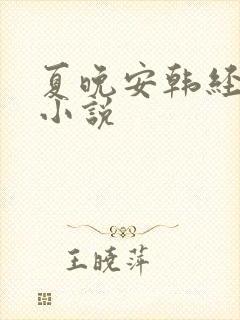 夏晚安韩经年的小说