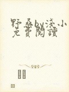 野桑by浅小说免费阅读