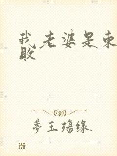 我老婆是东方不败