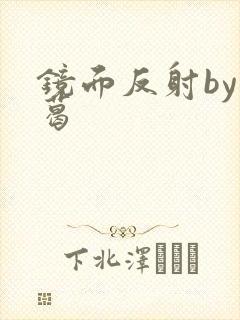 镜面反射by九葛