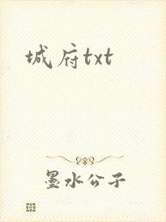 城府txt