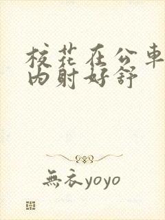 校花在公车上被内射好舒