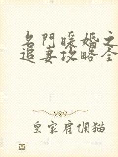 名门暖婚之权爷追妻攻略全文免费阅读