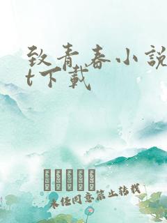 致青春小说txt下载