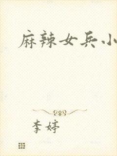 麻辣女兵小说版