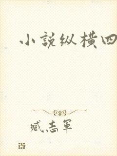 小说纵横四海