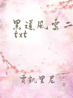 黑道风云二十年 txt