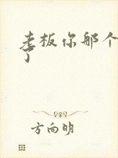 老板你那个太长了