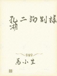 孔二狗别样的江湖